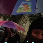 soviermaleins thumbnail