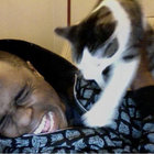 geofreeman thumbnail