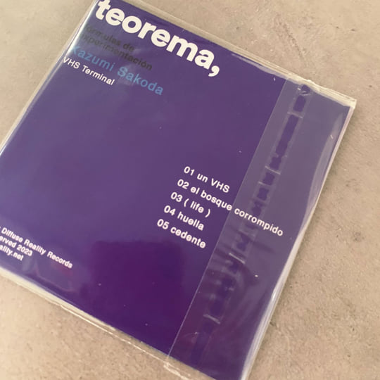 その他 Framed [VHS] Kazumi Sakoda - VHS Terminal [TE0106] | Diffuse Reality Records