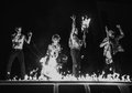 Daikaiju photo