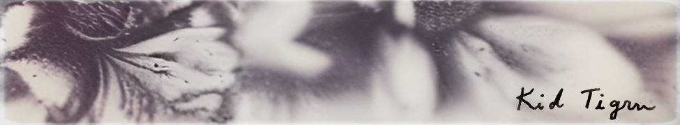 Kid Tigrrr — Photo