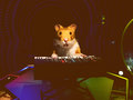 Synth Hamster image