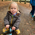 charlotte lavender thumbnail