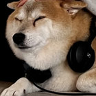HARUKI thumbnail