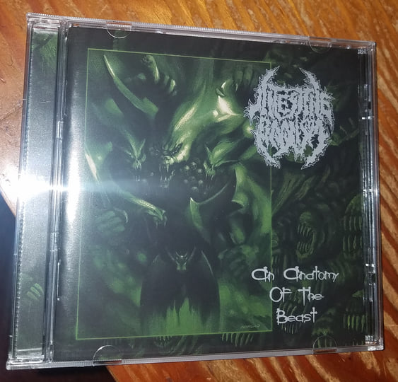 An Anatomy Of The Beast | Intestine Baalism | SEVARED