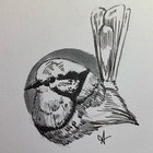 pen_siv thumbnail