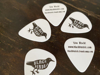 Official Blackbirds FC Guitar Picks main photo