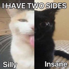 furistic thumbnail