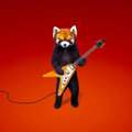 The Funky Red Pandas image