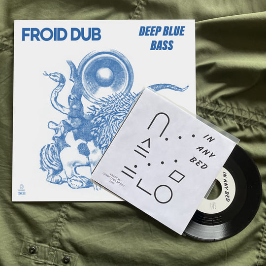 FROID DUB__Deep Blue Bass_DEL13 | Froid Dub | DELODIO
