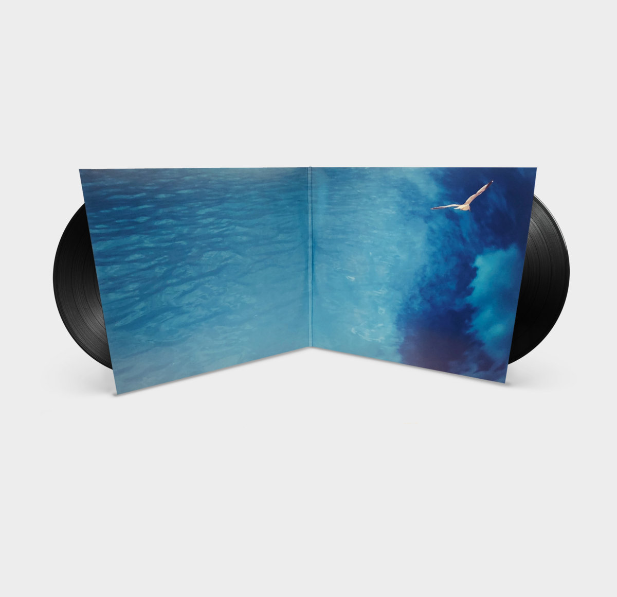 New Rock | Buffalo Daughter