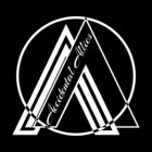 accidentalallies thumbnail