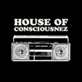 House of Consciousnez image