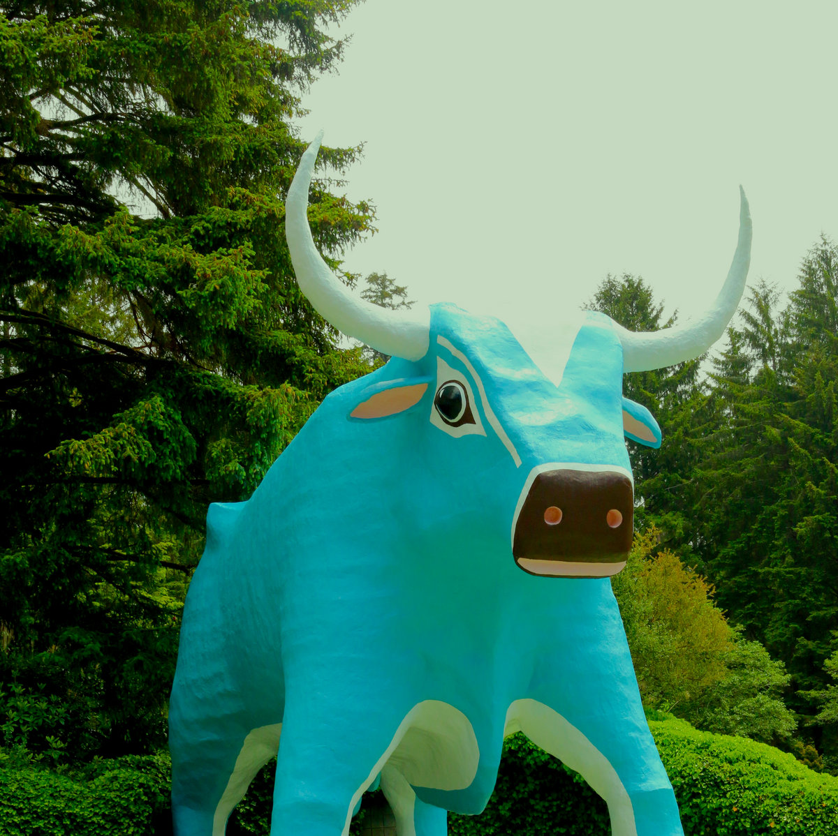 BALL HOG! | DAD SLAMMIN