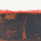 Barzo thumbnail