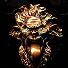 wildwielder thumbnail