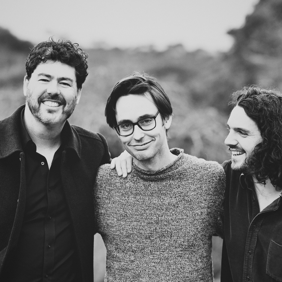 Light Dance Black Tulip Trio