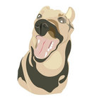 mathrockdog thumbnail