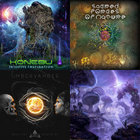 Will O' Wisp - Puzzle Symphony | Will O' Wisp | Dark Prisma Records