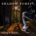 Shadow Forest image
