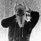 Wolf_Schwet thumbnail