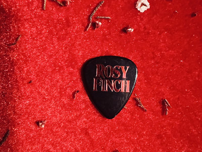 Rosy Finch Red Logo Guitar Pick main photo