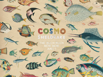 Merch | Cosmo Sheldrake Merch | Cosmo Sheldrake