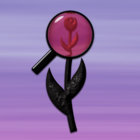 Notable_Tulip thumbnail