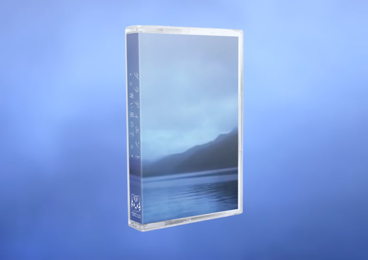 グ​ラ​デ​ィ​エ​ン​ト | 青い星の子 | Tiger Blood Tapes
