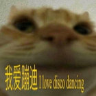 praying4lasagna thumbnail
