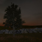 Hennu_TRM thumbnail