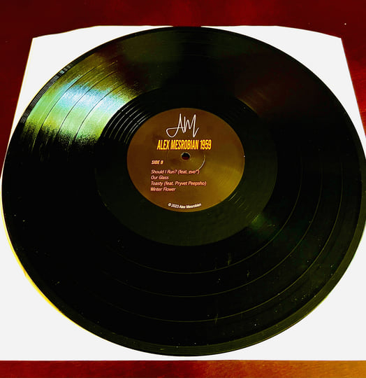 Limited Edition 12&quot; Vinyl LP, image 3