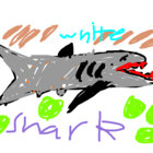 sicoff thumbnail
