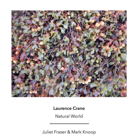 Natural World | Laurence Crane | Another Timbre