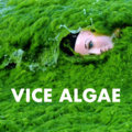 Vice Algae image