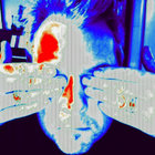 Si Beex thumbnail