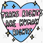 TransRights thumbnail
