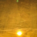 Varanus Lagoon image