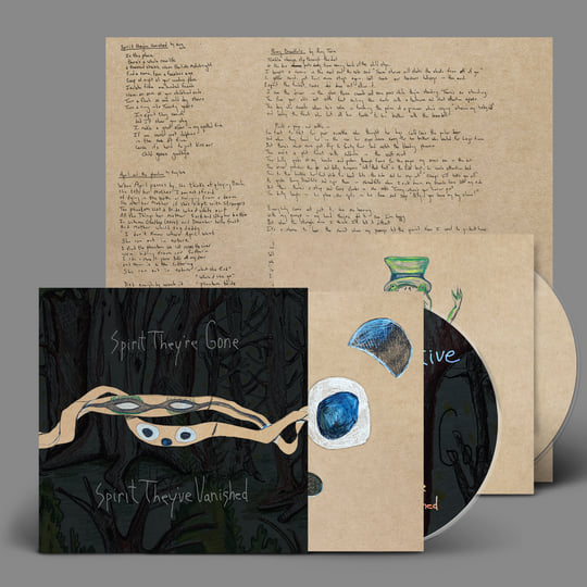 ワールドワイド2LP Animal Collective Spirit Theyre Gone Spirit Theyve Vanished REWIGLP175 Domino /00520 Animal Collective-Spirit They're Gone, Spirit They've
