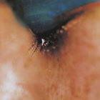 Christian V thumbnail