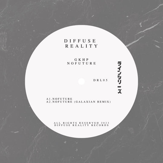 Gkhp - Nofuture - incl. remix by Galaxian [Vinyl] | Diffuse