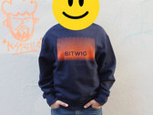 Bitwig Sweatshirt photo 
