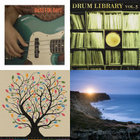Paul Nice – Drum Library Vol.5 LP レコード Paul Nice – Drum Library Vol.5 – Vinyl (LP), 2003 [r1667495