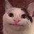 HackPorpoise thumbnail