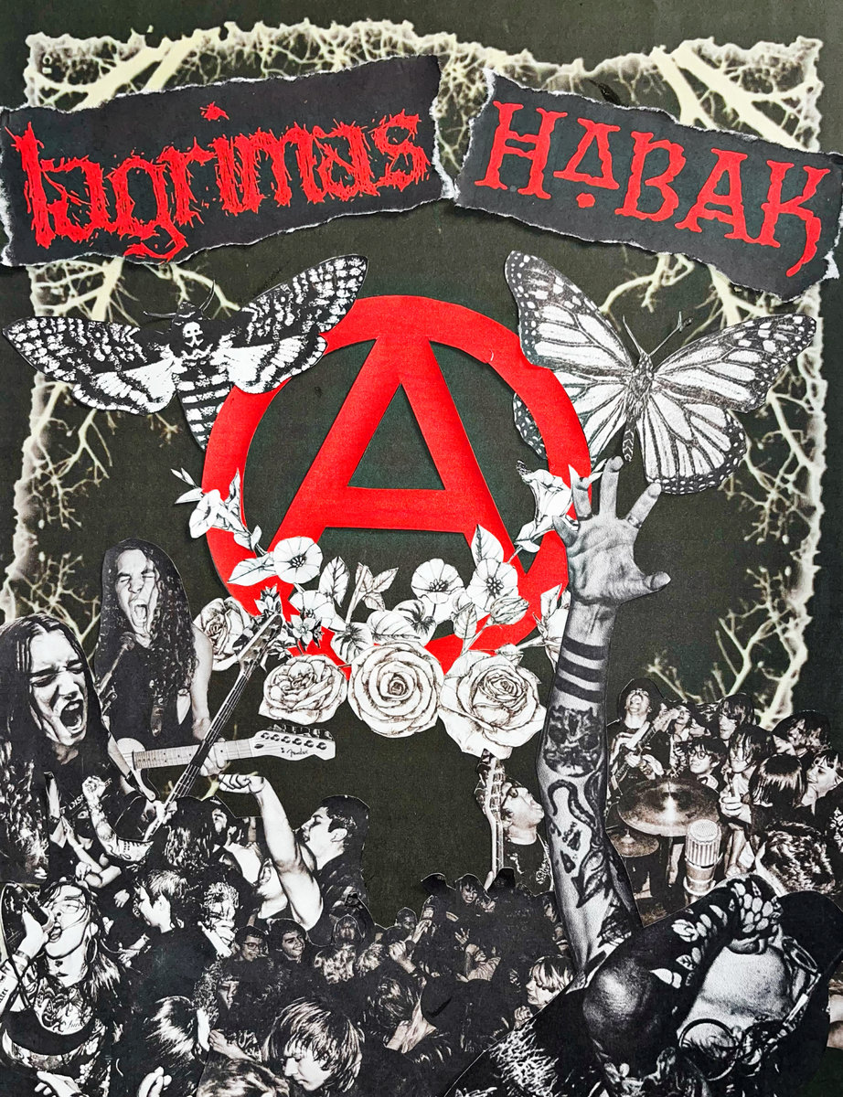 SPLIT POSTER | lagrimas