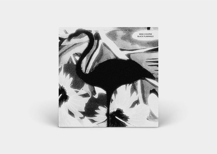 Black Flamingo | mike cooper