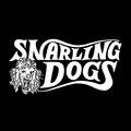 Snarling Dogs image