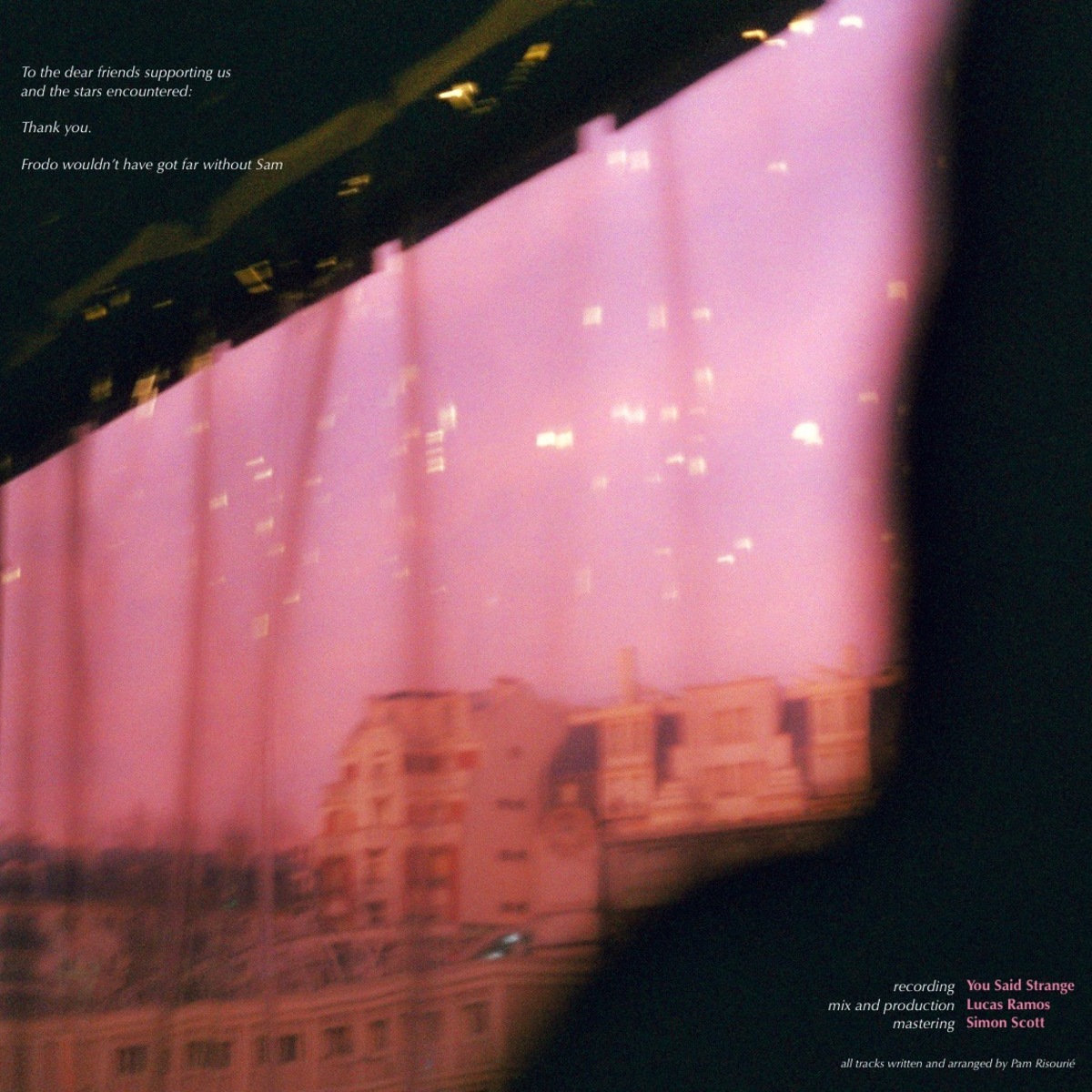 days-of-distortion-lp-pam-risouri