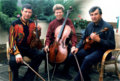 Beethoven String Trio image