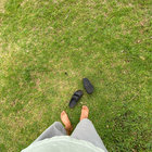 evergreentangerine thumbnail